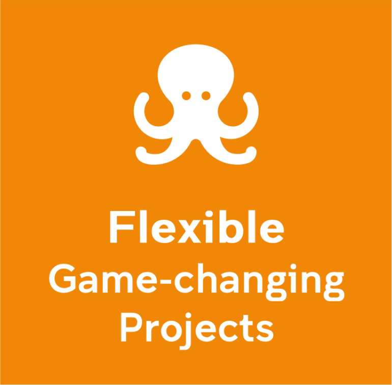 Flexible Game-changing Projects